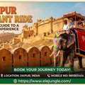 The Ultimate Guide To A Majestic Jaipur Elephant Ride At Amber Fort