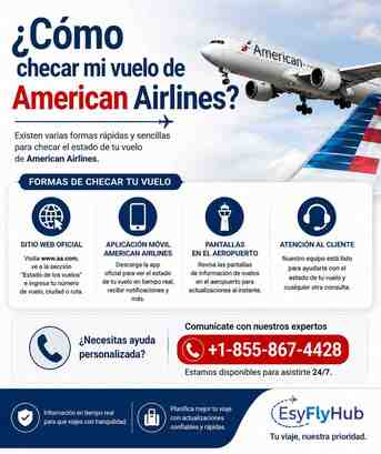 New York, Travel, &iquest;C&oacute;mo Checar Mi Vuelo De American Airlines?