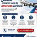 &iquest;C&oacute;mo Checar Mi Vuelo De American Airlines?