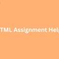 How To Get Expert HTML Assignment Help Quickly