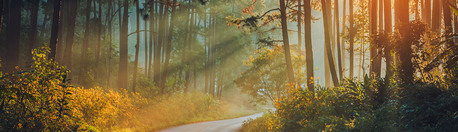 New York, Health, Long-Term Wellness Support And Preventive Health Care