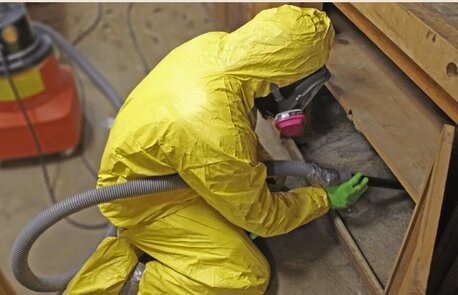 New York, Business, Mold Medics Of West Knoxville | Mold Remediation Company | Air Duct Cleaning Service