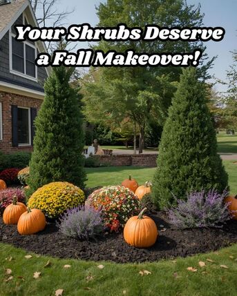 New York, Beautician, MW Lawn & Landscape | Lawn Care | Lawn Fertilization | Weed Control
