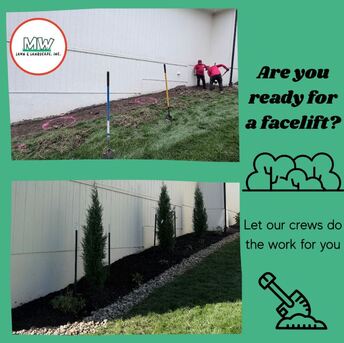 New York, Beautician, MW Lawn & Landscape | Lawn Care | Lawn Fertilization | Weed Control