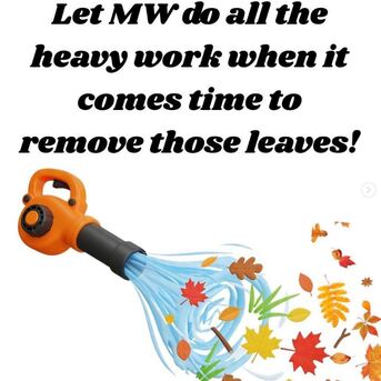 New York, Beautician, MW Lawn & Landscape | Lawn Care | Lawn Fertilization | Weed Control