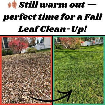New York, Beautician, MW Lawn & Landscape | Lawn Care | Lawn Fertilization | Weed Control