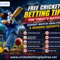 Expert Cricket Tips Free For Today Match