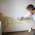 Mold Removal Company In Libby, MT - Mold Cleanup Services