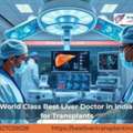 World Class Best Liver Doctor In India For Transplants