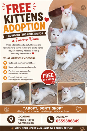 Yanbu, Pet Supplies, Three Lovely Cats For Free Sale
