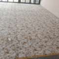 Carpet Installation