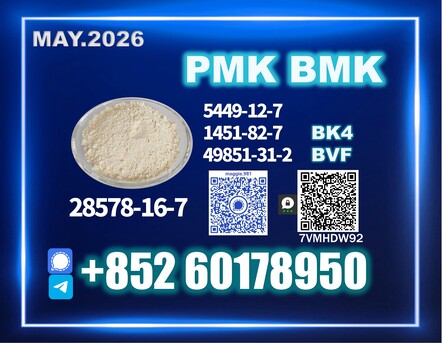 The Hague, Materials, Usd 280,  CAS 28578-16-7 New PM.K B.MK Safe Transportation