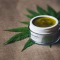 CBD Pouches In Charlotte NC &ndash; Tobacco-Free Nicotine Alternative At Hemp & Barrel