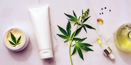 Tbilisi, Business, CBD Pouches In Charlotte NC &ndash; Tobacco-Free Nicotine Alternative At Hemp & Barrel
