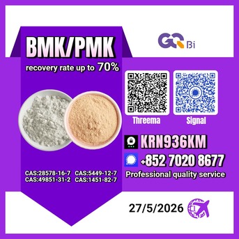 Tirana, Books, ALL 100,  BMK/PMK Extraction Rate Up To 70%-CAS:28578-16-7//CAS:5449-12-7