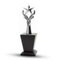 INR 1800, Metal Star Trophies