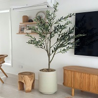 Sydney, Household Items, Fake Plants Sydney