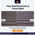 Best Roof Cleaning Services