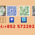 ALL 150,  PMK CAS：28578-16-7