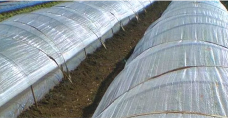 New York, Farm & Garden, Crop Row Covers For Plant Protection And Improved Crop Growth