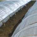 Crop Row Covers For Plant Protection And Improved Crop Growth