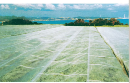 New York, Farm & Garden, Tarp For Reliable Outdoor Protection And Versatile Coverage