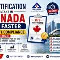 BIS Consultant In Canada