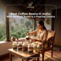 Best Coffee Beans In India: Which Coffee Creates The Perfect Salt In Coffee Experience?