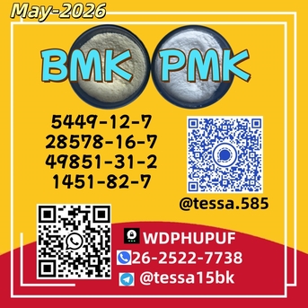 Hong Kong, Materials, CNY 10,  Cas 5449-12-7 BMK  Glycidic Acid Sodium Salt  Powder  Yellow High Yield  28578-16-7 PMK
