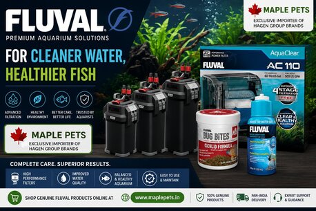 Mumbai, Pet Supplies, Upgrade Your Aquarium With Fluval Equipment