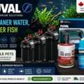 Upgrade Your Aquarium With Fluval Equipment