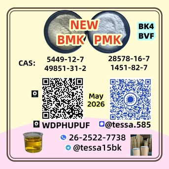 Hong Kong, Businesses For Sale, CAS 5449-12-7 Glycidic Acid Sodium Salt BMK Powder 28578-16-7 PMK  Analytical Reagents Sup