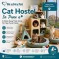 Cat Hostel In Pune