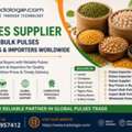 INR 2,  Pulses Supplier &ndash; Trusted Bulk Pulses Exporters & Importers Worldwide