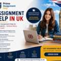 Professional Assignment Help In UK | Prime Assignment Help