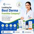 Expand Your Products List With Best Derma PCD Company
