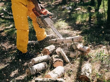 Geneva, Heavy Equipment, Forstzubehör Online Kaufen Schweiz &ndash; Hochwertige Ausrüstung Von Wicki Forst