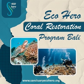 Bali, Training, Eco Hero Coral Restoration Program Bali