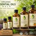 Organic Essential Oils Bulk &ndash; Premium Wholesale Supply For Cosmetic & Aromatherapy Indust
