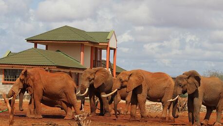 Nairobi, Travel, Tsavo East Safari For Chartered Tourists