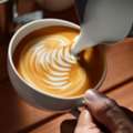 Im Barista Need Job Urgent