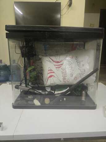 Al Badiah, Household Items, SAR 160,  Fish Aquarium For Sale