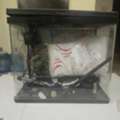 SAR 160,  Fish Aquarium For Sale