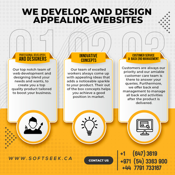 Brampton, Software Development, Website Design Company In Canada