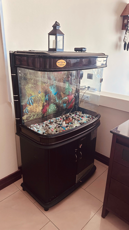 Juffair, Furniture, BHD 50,  Fish Tank