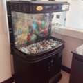 BHD 50,  Fish Tank
