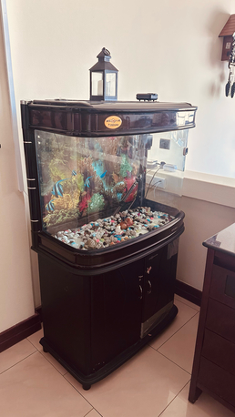 Juffair, Furniture, BHD 50,  Fish Tank