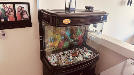 Juffair, Furniture, BHD 50,  Fish Tank