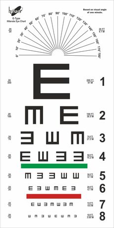 Mumbai, Health, Professional Tumbling E Vision Chart For Eye Screening