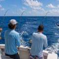 Affordable Private Offshore Fishing Charter Vero Beach &ndash; Florida Fishing